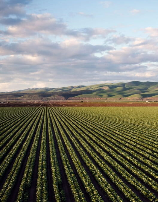 Fabian Magerman Highlights Moov Fuel’s Commitment to Agricultural Excellence