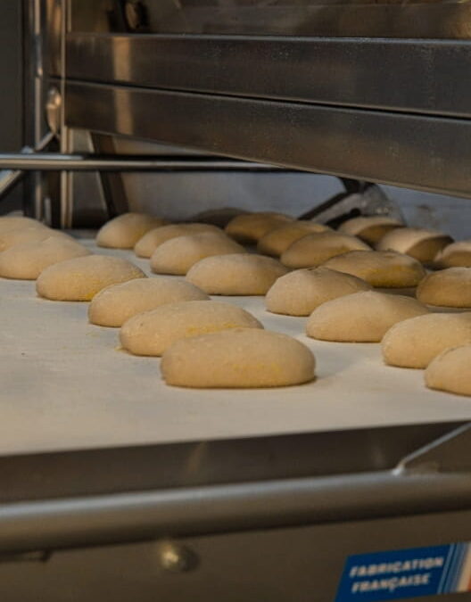 Our CEO unpacks the benefits of lubrication surveys and oil analysis testing in food manufacturing